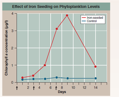 Does Iron Limit the Growth of Ocean Phytoplankton? Phytoplankton are microscopic organisms that live in the oceans, carrying out much of the earth's photosynthesis. The photo below is of Chaetoceros, a phytoplankton. Decades ago, scientists noticed dead zones in the ocean where little photosynthesis occurred. Looking more closely, they found that Phytoplankton collected from these waters are not able to efficiently fix CO<sub>2</sub> into carbohydrates. In an attempt to understand why not, the scientists hypothesized that lack of iron (needed by the ETS) was the problem and predicted that fertilizing these ocean waters with iron could trigger an explosively rapid growth of phytoplankton. To test this idea, they carried out a field experiment, seeding large areas of phytoplankton-poor ocean waters with iron crystals to see if this triggered phytoplankton growth. Other similarly phytoplankton-poor areas of ocean were not seeded with iron and served as controls. In one such experiment, the results of which are presented in the graph to the right, a 72-km <sup>2</sup> grid of phytoplankton-deficient ocean water was seeded with iron crystals and a tracer substance in three successive treatments, indicated with arrows on the x axis of the graph (on days 0, 3, and 7). The multiple seedings were carried out to reduce the effect of the iron crystals dissipating over time. A smaller control grid, 24 km <sup>2</sup> , was seeded with just the tracer substance. To assess the numbers of phytoplankton organisms carrying out photosynthesis in the ocean water, investigators did not actually count organisms. Instead, they estimated the amount of chlorophyll a in water samples as an easier-to-measure index. An index is a parameter that accurately reflects the quantity of another less-easily-measured parameter. In this instance, the level of chlorophyll a , easily measured by monitoring the wavelengths of light absorbed by a liquid sample, is a suitable index of phytoplankton, as this pigment is found nowhere else in the ocean other than within phytoplankton. Chlorophyll a measurements were made periodically on both test and control grids for 14 days. The results are plotted on the graph. Red points indicate chlorophyll a concentrations in iron-seeded waters; blue points indicate chlorophyll a levels in the control grid waters that were not seeded.     Drawing Conclusions Do these results support the claim that lack of iron is limiting the growth of phytoplankton, and thus of photosynthesis, in certain areas of the oceans?<div style=padding-top: 35px> 