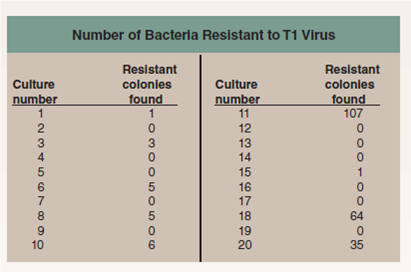Are Mutations Random or Directed by the Environment?  Once biologists appreciated that Mendelian traits were in fact alternative versions of DNA sequences that resulted from mutations, a very important question arose and needed to be answered: Are mutations random events that might happen anywhere on the DNA in a chromosome, or are they directed to some degree by the environment? Do the mutagens in cigarettes, for example, damage DNA at random locations, or do they preferentially seek out and alter specific sites such as those regulating the cell cycle? This key question was addressed and answered in an elegant, deceptively simple experiment carried out in 1943 by two of the pioneers of molecular genetics, Salvadore Luria and Max Delbruck. They chose to examine a particular mutation that occurs in laboratory strains of the bacterium Escherichia coli. These bacterial cells are susceptible to T1 viruses, tiny chemical parasites that infect, multiply within, and kill the bacteria. If 10 5 bacterial cells are exposed to 10 10 T1 viruses and the mixture spread on a culture dish, not one cell grows-every single E. coli cell is infected and killed. However, if you repeat the experiment using 10 9 bacterial cells, lots of cells survive! When tested, these surviving cells prove to be mutants, resistant to T1 infection. The question is, did the T1 virus cause the mutations, or were they present all along, too rare to be present in a sample of only 10 5 cells but common enough to be present in 10 9 cells? To answer this question, Luria and Delbruck devised a simple experiment they called a fluctuation test, illustrated here. Five cell generations are shown for each of four independent bacterial cultures, all tested for resistance in the fifth generation. If the T1 virus causes the mutations (top row), then each culture will have more or less the same number of resistant cells, with only a little fluctuation (that is, variation among the four). If, on the other hand, mutations are spontaneous and so equally likely to occur in any generation, then bacterial cultures in which the T1-resistance mutation occurs in earlier generations will possess far more resistant cells by the fifth generation than cultures in which the mutation occurs in later generations, resulting in wide fluctuation among the four cultures. The table presents the data they obtained for 20 individual cultures.        Interpreting Data What is the mean number of T1-resistant colonies found in the 20 individual cultures?