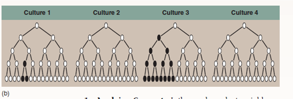 Are Mutations Random or Directed by the Environment?  Once biologists appreciated that Mendelian traits were in fact alternative versions of DNA sequences that resulted from mutations, a very important question arose and needed to be answered: Are mutations random events that might happen anywhere on the DNA in a chromosome, or are they directed to some degree by the environment? Do the mutagens in cigarettes, for example, damage DNA at random locations, or do they preferentially seek out and alter specific sites such as those regulating the cell cycle? This key question was addressed and answered in an elegant, deceptively simple experiment carried out in 1943 by two of the pioneers of molecular genetics, Salvadore Luria and Max Delbruck. They chose to examine a particular mutation that occurs in laboratory strains of the bacterium Escherichia coli. These bacterial cells are susceptible to T1 viruses, tiny chemical parasites that infect, multiply within, and kill the bacteria. If 10 5 bacterial cells are exposed to 10 10 T1 viruses and the mixture spread on a culture dish, not one cell grows-every single E. coli cell is infected and killed. However, if you repeat the experiment using 10 9 bacterial cells, lots of cells survive! When tested, these surviving cells prove to be mutants, resistant to T1 infection. The question is, did the T1 virus cause the mutations, or were they present all along, too rare to be present in a sample of only 10 5 cells but common enough to be present in 10 9 cells? To answer this question, Luria and Delbruck devised a simple experiment they called a fluctuation test, illustrated here. Five cell generations are shown for each of four independent bacterial cultures, all tested for resistance in the fifth generation. If the T1 virus causes the mutations (top row), then each culture will have more or less the same number of resistant cells, with only a little fluctuation (that is, variation among the four). If, on the other hand, mutations are spontaneous and so equally likely to occur in any generation, then bacterial cultures in which the T1-resistance mutation occurs in earlier generations will possess far more resistant cells by the fifth generation than cultures in which the mutation occurs in later generations, resulting in wide fluctuation among the four cultures. The table presents the data they obtained for 20 individual cultures.        Interpreting Data What is the mean number of T1-resistant colonies found in the 20 individual cultures?