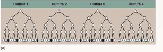 Are Mutations Random or Directed by the Environment?  Once biologists appreciated that Mendelian traits were in fact alternative versions of DNA sequences that resulted from mutations, a very important question arose and needed to be answered: Are mutations random events that might happen anywhere on the DNA in a chromosome, or are they directed to some degree by the environment? Do the mutagens in cigarettes, for example, damage DNA at random locations, or do they preferentially seek out and alter specific sites such as those regulating the cell cycle? This key question was addressed and answered in an elegant, deceptively simple experiment carried out in 1943 by two of the pioneers of molecular genetics, Salvadore Luria and Max Delbruck. They chose to examine a particular mutation that occurs in laboratory strains of the bacterium Escherichia coli. These bacterial cells are susceptible to T1 viruses, tiny chemical parasites that infect, multiply within, and kill the bacteria. If 10 5 bacterial cells are exposed to 10 10 T1 viruses and the mixture spread on a culture dish, not one cell grows-every single E. coli cell is infected and killed. However, if you repeat the experiment using 10 9 bacterial cells, lots of cells survive! When tested, these surviving cells prove to be mutants, resistant to T1 infection. The question is, did the T1 virus cause the mutations, or were they present all along, too rare to be present in a sample of only 10 5 cells but common enough to be present in 10 9 cells? To answer this question, Luria and Delbruck devised a simple experiment they called a fluctuation test, illustrated here. Five cell generations are shown for each of four independent bacterial cultures, all tested for resistance in the fifth generation. If the T1 virus causes the mutations (top row), then each culture will have more or less the same number of resistant cells, with only a little fluctuation (that is, variation among the four). If, on the other hand, mutations are spontaneous and so equally likely to occur in any generation, then bacterial cultures in which the T1-resistance mutation occurs in earlier generations will possess far more resistant cells by the fifth generation than cultures in which the mutation occurs in later generations, resulting in wide fluctuation among the four cultures. The table presents the data they obtained for 20 individual cultures.        Drawing Conclusions Are these data consistent with the hypothesis that the mutation for T1 resistance among E. coli bacteria is caused by exposure to T1 virus? Explain.