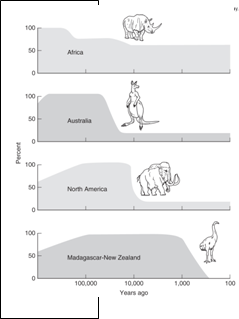 The figure at the right depicts:   A) Evolutionary stability B) Punctuated equilibrium C) Speciation D) Pleistocene overkill E) Episodic mass extinctions