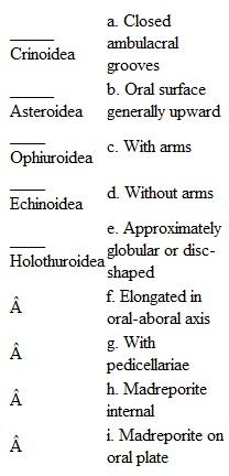 Match groups in the left column with all correct answers in the right column.   