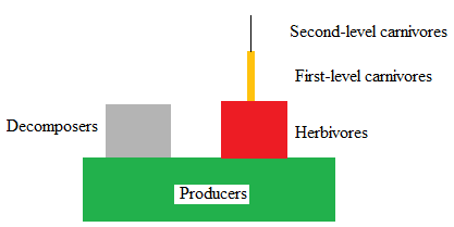 The Second Law of Thermodynamics states that physical systems tend to move towards a state of greater disorder or entropy. This law states that whenever energy is changed from one form to another, there is always a loss of energy in the form of heat. This heat is responsible for the disorder or entropy seen. The pyramid of energy is seen as an example of this law of thermodynamics as we see the loss of energy from each trophic level from producers to consumers. This loss of energy fulfills the second law of thermodynamics.   The producers produced   out of which herbivores used   . The first-level carnivores used   out of   and the second level used   out of 383 kcal.