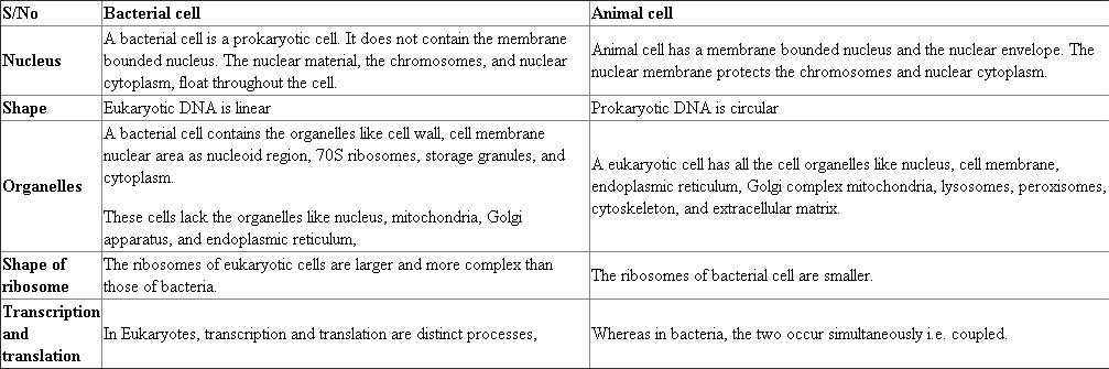 The nutritional requirements of Escherichia coli cell are simpler than humans, where they can synthesize all the macromolecules like humans. Moreover, each individual bacterial cell is able to synthesize all of the complex macromolecules. This is because each bacterial cell contains all the enzymes necessary to make the macromolecules to break down all nutritional metabolites.  In addition, prokaryotes are having larger surface to volume in ratio to give a higher metabolic rate, a higher growth rate, and a shorter generation time compared to eukaryotes. No, the bacterial cell does not perform more biosynthetic capacity and metabolic complexity than animals. This is because animal cells are multicellular with complexed cell organelles that perform all the cellular functions. Whereas, bacteria are usually single-celled organisms, with less specialized organelles compared to animal cells. Thus, animal cell provides more complex nutritional requirements than bacterial cell. Pros and cons of bacterial and animal cell:     The pros and cons of both bacterial and animal cell, in the table provide the explanation, how the animal cells vary in organelles responsible, for metabolic complexity. Thus, the bacterial cell does not perform more biosynthetic capacity and metabolic complexity than animals.