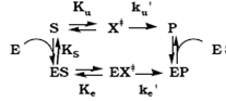 Deriving an expression for enzymatic rate acceleration  Based on the reaction scheme shown below, derive an expression for k e /k u , the ratio of the rate constants for the catalyzed and uncatalyzed reactions, respectively, in terms of the free energies of activation for the catalyzed ( G ‡ e ) and the uncatalyzed ( G ‡ u ) reactions.    