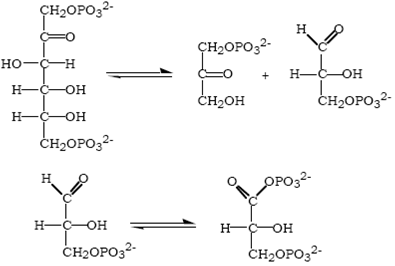 Understanding the reaction mechanisms of glycolysis For each of the following reactions, name the enzyme that carries out this reaction in glycolysis and write a suitable mechanism for the reaction.