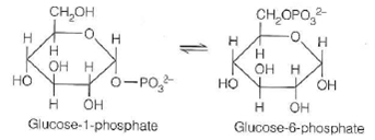 The phosphate transfer potentials for glucose-1-phosphate and glucose-6-phosphate are 20.9 kJ/mol and 13.8 kJ/mol, respectively. (a) What is the equilibrium constant for this reaction at 25 °C    (b) If a mixture was prepared containing 1 M glucose-6-phosphate and 1 × 10 3 M glucose-1-phosphate, what would be the thermo-dynamically favored direction for the reaction