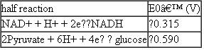 For parts (a) and (b) of this problem use the following standard reduction potentials, free energies, and nonequilibrium concentrations of reactants and products:     pyruvate + NADH + 2H + ethanol + NAD + + CO<sub>2</sub> AG° = 64.4kJ/mol ATP + H<sub>2</sub> O ADP + P i + H+ G ° = 30.5kJ/mol (a) Consider the last two steps in the alcoholic fermentation of glucose by brewer's yeast:    Calculate the nonequilibrium concentration of ethanol in yeast cells, if G = 38.3 kJ/mol for this reaction at pH = 7.4 and 37 °C when the reactants and products are at the concentrations given above. (b) Consider the degradation of glucose to pyruvate by the glycolytic pathway:    Calculate G for this reaction at pH = 7.4 and 37 °C.