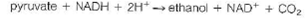 For parts (a) and (b) of this problem use the following standard reduction potentials, free energies, and nonequilibrium concentrations of reactants and products:     pyruvate + NADH + 2H + ethanol + NAD + + CO<sub>2</sub> AG° = 64.4kJ/mol ATP + H<sub>2</sub> O ADP + P i + H+ G ° = 30.5kJ/mol (a) Consider the last two steps in the alcoholic fermentation of glucose by brewer's yeast:    Calculate the nonequilibrium concentration of ethanol in yeast cells, if G = 38.3 kJ/mol for this reaction at pH = 7.4 and 37 °C when the reactants and products are at the concentrations given above. (b) Consider the degradation of glucose to pyruvate by the glycolytic pathway:    Calculate G for this reaction at pH = 7.4 and 37 °C.