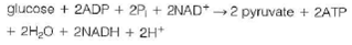 For parts (a) and (b) of this problem use the following standard reduction potentials, free energies, and nonequilibrium concentrations of reactants and products:     pyruvate + NADH + 2H + ethanol + NAD + + CO<sub>2</sub> AG° = 64.4kJ/mol ATP + H<sub>2</sub> O ADP + P i + H+ G ° = 30.5kJ/mol (a) Consider the last two steps in the alcoholic fermentation of glucose by brewer's yeast:    Calculate the nonequilibrium concentration of ethanol in yeast cells, if G = 38.3 kJ/mol for this reaction at pH = 7.4 and 37 °C when the reactants and products are at the concentrations given above. (b) Consider the degradation of glucose to pyruvate by the glycolytic pathway:    Calculate G for this reaction at pH = 7.4 and 37 °C.