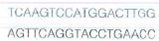 Some natirally occurring polynucleotide sequences are palindromic; that is, they are self-complementary about an axis of symmetry. Such a sequence is    Show how this structure might form a double hairpin, or cruciform, conformation. Indicate the center of symmetry in the sequence and the bounds of the cruciform.