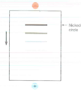 A closed circular supercoiled DNA is relaxed by treatment with topoisomerase. No matter how much enzyme is used, or how long the experiment is run. the experimenter always finds a gel electrophoresis pattern indicating some DNA with one, two, and three helical turns in addition to the relaxed (nicked) circle see figure). Suggest an explanation for this observation.  