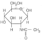 One or more of the compounds shown below will satisfy each of the following statements. Not all compounds may be used; some may be used twice. Put the letter(s) in the blank. (a) Found in chitin.______ (b) An L-saccharide.______ (c) The first residue attached to asparagine in N-linked glycans.______ (d) A uronic acid.______ (e) A ketose.______ (a)    (b)    (c)    (d)    (e)    (f)  