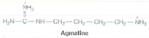 In bacteria much of the putrescine is synthesized, not from ornithine but from arginine, which decarboxylates to yield agmatine.Formulate a plausible pathway from arginine to putrescine, using this intermediate.  