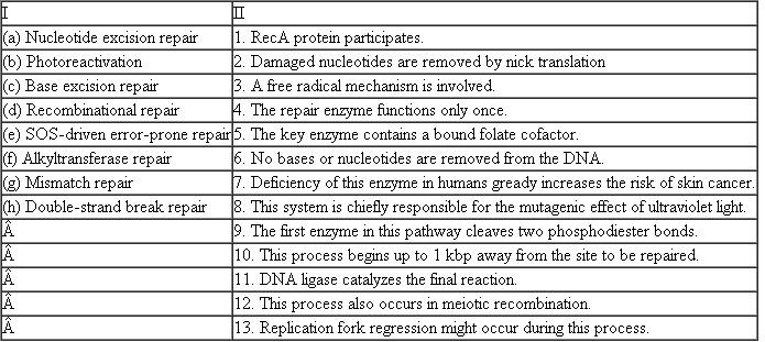 For each DNA repair process in column I, list all characteristics from column II that correctly describe that process.  <div style=padding-top: 35px> 