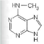 A   B   C   D   For each of the following characteristics, list all of the bases (A, B, C, or D) to which they apply. (a) A signal that identifies a parental DNA strand in the MutH,L,S mismatch correction system (b) Most likely to be involved in cyclobutane dimer formation after ultraviolet irradiation of DNA (c) A methylated base found immediately to the 5 side of dGMP residues in eukaryotic DNA (d) Created by treating DNA with alkylating agents that transfer methyl groups and repaired by an enzyme that functions only once in its lifetime (e) Created by AdoMet-dependent methylation of a nucleotide residue in DNA (f) A substrate for deamination at the DNA level, which would lead to a GC AT transition<div style=padding-top: 35px> 
