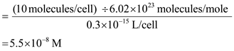 (a)The approximate concentration of intracellular repressor would be as follows:   (b)The approximate concentration of intracellular operators would be as follows:   (c)The approximate intracellular concentration of the free operators would be approximately   . (d)A rapidly growing cell possess two copies as the cell during division divides the two sister chromatids of the chromosome. These sister chromatids replicate and form two complete set of chromosomes again.