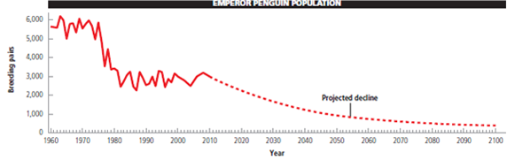 The graph below shows changes in the size of an Emperor penguin population in terms of numbers of breeding pairs on the island of Terre Adelie in the Antarctic. Scientists used this data along with data on the penguins' shrinking ice habitat to project a general decline in the island's Emperor penguin population, to the point where they will be endangered in 2100. Use the graph to answer the questions on the right. What was the overall percentage decline in the penguin population from 1975 tO<sub>2</sub>010?