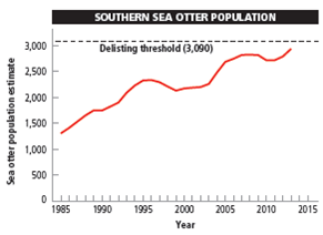 WHY DO CALIFORNIA'S SOUTHERN SEA OTTERS FACE AN UNCERTAIN FUTURE?  The population size of southern sea otters ( Core Case Study ) has fluctuated in response to changes in environmental conditions. One such change has been a rise in populations of the orcas (killer whales) that feed on them. Scientists hypothesize that orcas began feeding more on southern sea otters when populations of their normal prey, sea lions and seals, began declining. Also, between 2010 and 2012, the number of southern sea otters killed or injured by sharks increased for reasons that scientists are trying to understand. Another factor may be parasites known to breed in the intestines of cats. Scientists hypothesize that some southern sea otters might be dying because coastal area cat owners flush feces-laden cat litter down their toilets or dump it in storm drains that empty into coastal waters. The feces contain parasites that then infect the otters. Otters are also threatened by blooms of toxic algae that are fed by urea, a key ingredient in fertilizer that washes into coastal waters. Other pollutants released by human activities are PCBs and other fat-soluble toxic chemicals that can kill otters by accumulating to high levels in the tissues of the shellfish on which otters feed. Because southern sea otters feed at high trophic levels and live close to the shore, they are vulnerable to these and other pollutants in coastal waters. The factors listed here, mostly resulting from human activities, plus a fairly low reproductive rate and a rising mortality rate, have hindered the ability of the endangered southern sea otter to rebuild its population (Figure 5.B). In 2012, the National Geographic Society funded a project led by Nicole Thometz to learn more about why juvenile sea otters, in particular, were suffering a high mortality rate. The aim of this study was to track changes in the physiological development of the otters and to understand how physiological variables affected their foraging ability and success. Such information could be used to help biologists to refine recovery plans for the southern sea otter. According to the U.S. Geological Survey, the California southern sea otter population would have to reach at least 3,090 animals for 3 years in a row before it could be considered for removal from the endangered species list. Critical Thinking  How would you design a controlled experiment to test the hypothesis that cat litter flushed down toilets might be killing southern sea otters?     FIGURE 5.B Changes in the population size of southern sea otters off the coast of the U.S. state of California, 1983-2013. Compiled by the authors using data from U.S. Geological Survey.