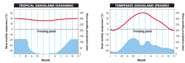 In this chapter, you learned how long-term variations in average temperatures and average precipitation play a major role in determining the types of deserts, forests, and grasslands found in different parts of the world. Below are typical annual climate graphs for a tropical grassland (savanna) in Africa and a temperate grassland in the Midwestern United States. What is the coldest month in the tropical grassland?