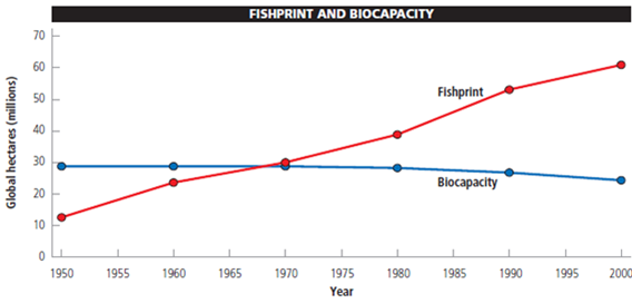 A fishprint provides a measure of a country's fish harvest in terms of area. The unit of area used in fishprint analysis is the global hectare (gha), a unit weighted to reflect the relative ecological productivity of the area fished. When compared with the fishing area's sustainable biocapacity (its ability to provide a stable supply of fish year after year, expressed in terms of yield per area), its fishprint indicates whether the country's annual fishing harvest is sustainable. The fishprint and biocapacity are calculated using the following formulas: Fishprint in (gha) = metric tons of fish harvested per year/productivity in metric tons per hectare × weighting factor Biocapacity in (gha) = sustained yield of fish in metric tons per year/productivity in metric tons per hectare × weighting factor The following graph shows the earth's total fishprint and biocapacity between 1950 and 2000. Study it and answer the following questions.     Based on the graph, a. In what year did the global fishprint begin to exceed the biological capacity of the world's oceans? b. By how much did the global fishprint exceed the biological capacity of the world's oceans in 2000?