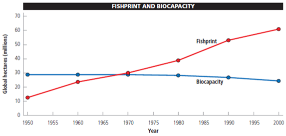 A fishprint provides a measure of a country's fish harvest in terms of area. The unit of area used in fishprint analysis is the global hectare (gha), a unit weighted to reflect the relative ecological productivity of the area fished. When compared with the fishing area's sustainable biocapacity (its ability to provide a stable supply of fish year after year, expressed in terms of yield per area), its fishprint indicates whether the country's annual fishing harvest is sustainable. The fishprint and biocapacity are calculated using the following formulas: Fishprint in (gha) = metric tons of fish harvested per year/productivity in metric tons per hectare × weighting factor Biocapacity in (gha) = sustained yield of fish in metric tons per year/productivity in metric tons per hectare × weighting factor The following graph shows the earth's total fishprint and biocapacity between 1950 and 2000. Study it and answer the following questions.     Assume a country harvests 18 million metric tons of fish annually from an ocean area with an average productivity of 1.3 metric tons per hectare and a weighting factor of 2.68. What is the annual fishprint of that country?