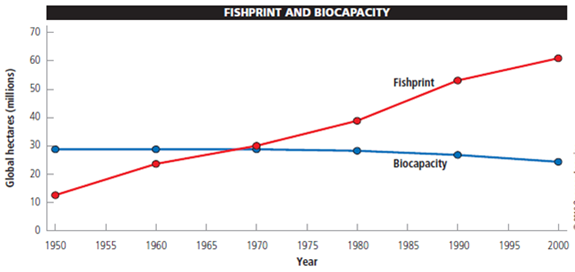 A fishprint provides a measure of a country's fish harvest in terms of area. The unit of area used in fishprint analysis is the global hectare (gha), a unit weighted to reflect the relative ecological productivity of the area fished. When compared with the fishing area's sustainable biocapacity (its ability to provide a stable supply of fish year after year, expressed in terms of yield per area), its fishprint indicates whether the country's annual fishing harvest is sustainable. The fishprint and biocapacity are calculated using the following formulas: Fishprint in (gha) = metric tons of fish harvested per year/productivity in metric tons per hectare × weighting factor Biocapacity in (gha) = sustained yield of fish in metric tons per year/productivity in metric tons per hectare × weighting factor The following graph shows the earth's total fishprint and biocapacity between 1950 and 2000. Study it and answer the following questions.     If biologists determine that this country's sustained yield of fish is 17 million metric tons per year, a. What is the country's sustainable biological capacity? b. Is the county's annual fishing harvest sustainable? c. To what extent, as a percentage, is the country undershooting or overshooting its biological capacity?