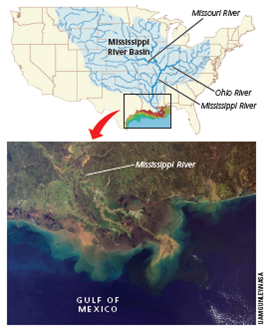 THE GULF OF MEXICO'S ANNUAL DEAD ZONE  The Mississippi River basin (Figure 11.A, map) lies within 31 states and contains almost two-thirds of the continental U.S. land area. With more than half of all U.S. croplands, it is one of the world's most productive agricultural regions. However, water draining into the Mississippi River and its tributaries from farms, cities, factories, and sewage treatment plants in this huge basin contains sediments and other pollutants that end up in the Gulf of Mexico (Figure 11.A, photo)-a major supplier of the country's fish and shellfish. Each spring and summer, this huge input of plant nutrients, mostly nitrates from crop fertilizers, enters the northern Gulf of Mexico and overfertilizes the coastal waters of the U.S. states of Mississippi, Louisiana, and Texas. One result is an explosion of populations of phytoplankton (mostly algae) that eventually die and fall to the sea floor. Hordes of oxygen-consuming bacteria that decompose the phytoplankton remains deplete the dissolved oxygen in the Gulf's bottom layer of water. The huge volume of water affected by this seasonal event is called a dead zone because it contains little animal marine life. Its low oxygen levels (Figure 11.B) drive away faster-swimming marine organisms and suffocate bottom-dwelling fish, crabs, oysters, and shrimp that cannot move to less polluted areas. Large amounts of sediment, mostly from soil eroded from the Mississippi River basin, can also kill bottom-dwelling forms of animal aquatic life. The dead zone appears each spring and grows until fall when storms churn the water and redistribute dissolved oxygen to the Gulf bottom. The size of the Gulf of Mexico's annual dead zone depends primarily on the amount of water flowing into the Mississippi River each year. In years with ample rainfall and snowmelt, such as 2003, it has covered an area as large as the state of Massachusetts-27,300 square kilometers (10,600 square miles). In 2013, a severe drought year in parts of the country, it covered a smaller area of about 15,125 square kilometers (5,840 square miles)-about the size of the state of Connecticut. The annual Gulf of Mexico dead zone (one of about 400 dead zones found throughout the world) represents a disruption of the nitrogen cycle (see Figure 3.15, p. 54) caused primarily by human activities. It happens because huge quantities of nitrogen from nitrate fertilizers are added to ecosystems such as the Mississippi River and Gulf of Mexico much faster than the nitrogen cycle can remove them. As a result, by producing crops for food and ethanol to fuel cars in the vast Mississippi basin, we end up disrupting coastal aquatic life and seafood production in the Gulf of Mexico. Because of the size and agricultural importance of the Mississippi River basin, there is no easy solution to the problem of severe cultural eutrophication of this coastal zone. The best hope lies in preventive measures, including applying less fertilizer on farms upstream, injecting fertilizer below the soil surface, and using controlledrelease fertilizers that have waterinsoluble coatings. Other such measures include planting strips of forests and grasslands along waterways to soak up excess nitrogen, restoring Gulf Coast wetlands that once filtered some of the plant nutrients, and creating wetlands between crop fields and streams emptying into the Mississippi River. Another measure would be to reduce or eliminate government subsidies for growing corn to make ethanol. Critical Thinking  Which three of the preventive measures described above do you believe would be the most effective? Explain.         FIGURE 11.B The colorized area in this satellite image of the northern Gulf of Mexico represents the seasonal dead zone of 2012 with the red area having the lowest oxygen level.