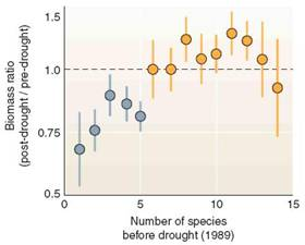 Uncertainty is a key idea in science. We can rarely have absolute proof in experimental results, because our conclusions rest on observations, but we only have a small sample of all possible observations. Because uncertainty is always present, it's useful to describe how much uncertainty you have, relative to what you know. It might seem ironic, but in science, knowing about uncertainty increases our confidence in our conclusions. The graph at right is from a landmark field study by D. Tilman, et al. It shows change in biomass within, experimental plots containing varying numbers of native prairie plants after a severe drought. Because more than 200 replicate (repeated test) plots were used, this study was able to give an estimate of uncertainty. This uncertainty is shown with error bars. In this graph, dots show means for groups of test plots; the error bars show the range in which that mean could have fallen, if there had been a slightly different set of test plots. Let's examine the error bars in this graph. To begin, as always, make sure you understand what the axes show. This graph is a relatively complex one, so be patient.     What is the axis label on the Y-axis What does a value of 0.75 mean A value of 1.0  (Note: the Y-axis doesn't change at a constant rate. It changes logarithmically. This means values at the low end are more visible.)