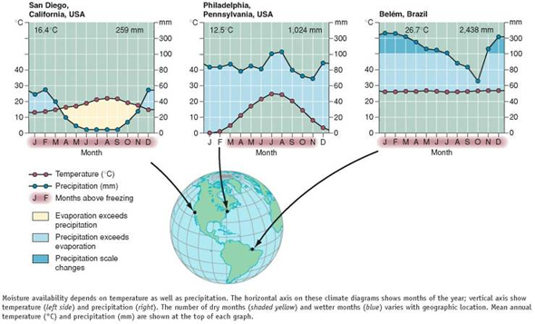 As you've learned in this chapter, temperature and precipitation are critical factors in determining the distribution of terrestrial biomes. Understanding climate graphs and what they tell us is extremely helpful in making sense of these differences. In the figure below, reproduced from figure 5.5 , the graphs show annual patterns in temperature and precipitation (rainfall and snow). They also indicate how much of the year evaporation exceeds precipitation (yellow areas), and when precipitation exceeds evaporation, leaving moisture available for plant growth. Examine these graphs to answer the following questions. What kinds of biomes would you expect to find in these areas