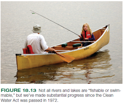Understanding the origins of pollution is the first step toward considering policies for reducing it. The chapter you have just read includes several graphs displaying pollution data. The following questions ask you to think more about the sources of this pollution: In figure 18.13 , which of the causes of stream or lake impairment do you think are mainly from point or nonpoint sources Most of these contaminants have multiple sources, but try to imagine the most common origin.