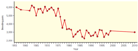 The graph below shows changes in the size of an emperor penguin population in terms of numbers of breeding pairs on the island of Terre Adelie in the Antarctic. Use the graph to answer the questions below.     Assuming that the penguin population fluctuates around the carrying capacity, what was the approximate carrying capacity of the island for the penguin population from 1960 to 1975 What was the approximate carrying capacity of the island for the penguin population from 1980 to 2010
