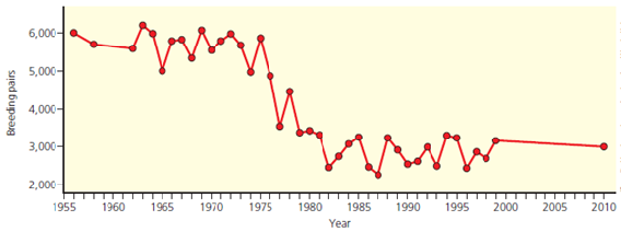 The graph below shows changes in the size of an emperor penguin population in terms of numbers of breeding pairs on the island of Terre Adelie in the Antarctic. Use the graph to answer the questions below.     What was the percentage decline in the penguin population from 1975 to 2010