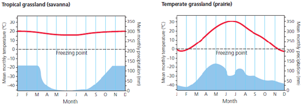 In this chapter, you learned how long-term variations in average temperatures and average precipitation play a major role in determining the types of deserts, forests, and grasslands found in different parts of the world. Below are typical annual climate graphs for a tropical grassland (savanna) in Africa and a temperate grassland in the Midwestern United States.     What is the warmest month in the temperate grassland