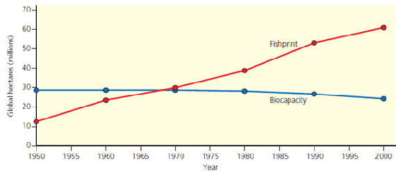 A fishprint provides a measure of a country's fish harvest in terms of area. The unit of area used in fishprint analysis is the global hectare (gha), a unit weighted to reflect the relative ecological productivity of the area fished. When compared with the fishing area's sustainable biocapacity (its ability to provide a stable supply of fish year after year, expressed in terms of yield per area), its fishprint indicates whether the country's annual fishing harvest is sustainable. The fishprint and biocapacity are calculated using the following formulas: Fishprint in (gha) = metric tons of fish harvested per year/productivity in metric tons per hectare × weighting factor Biocapacity in (gha) = sustained yield of fish in metric tons per year/productivity in metric tons per hectare × weighting factor     Assume a country harvests 18 million metric tons of fish annually from an ocean area with an average productivity of 1.3 metric tons per hectare and a weighting factor of 2.68. What is the annual fishprint of that country
