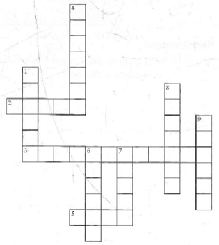 Using accounting vocabulary Review basic accounting definitions by completing the following crossword puzzle. Down : 1. Right side of an account 4. The basic summary device of accounting 6. Boole of accounts 7. An economic resource 8. Record of transactions 9. Normal balance of a revenue Across : 2. Records a decrease in a liability 3. List of accounts with their balances 5. Another word for liability