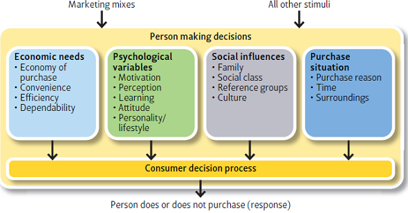 Review the model in Exhibit 6-2 and then reread the Apple case at the beginning of this chapter. List and briefly describe specific points in the case that illustrate the model. Exhibit 6-2 A Model of Influences on Consumer Behavior