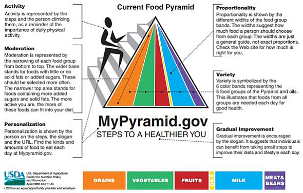 With soaring obesity rates in the United States, the government continues to produce visuals that encourage healthy eating habits. While the food pyramids have been the norm, their messages have been largely ignored by U.S. citizens. The newest version of the visual to encourage healthy eating uses a plate with various portion sizes for fruits, grains, vegetables, protein, and dairy. Evaluate each of the visuals by answering the following questions. Which version of the visual is right for the story  Which healthy eating visual is clearest  Which is most informative  Which visual will most likely encourage healthy eating habits  Which visuals contain chartjunk  Which did you prefer Why     Anatomy of MyPyramid  One size doesn't fit all  USDA's new MyPyramid symbolizes a personalized approach to healthy eating and physical activity.The symbol has been designed to be simple. It has been developed to remind consumers to make healthy food choices and to be active every day. The different parts of the symbol are described below.       
