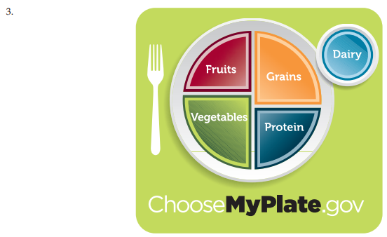 With soaring obesity rates in the United States, the government continues to produce visuals that encourage healthy eating habits. While the food pyramids have been the norm, their messages have been largely ignored by U.S. citizens. The newest version of the visual to encourage healthy eating uses a plate with various portion sizes for fruits, grains, vegetables, protein, and dairy. Evaluate each of the visuals by answering the following questions. Which version of the visual is right for the story Which healthy eating visual is clearest Which is most informative Which visual will most likely encourage healthy eating habits Which visuals contain chartjunk Which did you prefer Why Anatomy of MyPyramid One size doesn't fit all USDA's new MyPyramid symbolizes a personalized approach to healthy eating and physical activity.The symbol has been designed to be simple. It has been developed to remind consumers to make healthy food choices and to be active every day. The different parts of the symbol are described below.
