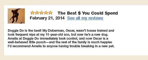Send an email response to a highly positive customer comment. Imagine that you just found this comment about your new dog-training company online. Using the Yelp guidelines in Figure 13, write a response that shows appreciation for the comment.