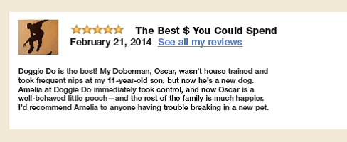 Send an email response to a highly positive customer comment. Imagine that you just found this comment about your new dog-training company online. Using the Yelp guidelines in Figure 13, write a response that shows appreciation for the comment.        