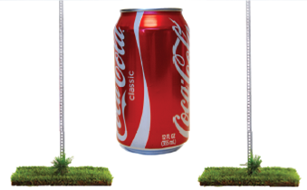 In 1999, following a campaign by a student group known as Students Organizing for Labor and Economic Equality (SOLE), the University of Michigan instituted a Vendor Code of Conduct that specified key performance criteria from all university vendors. The code included the following: General Principles  The University of Michigan has a longstanding commitment to sound, ethical, and socially responsible practices. In aligning its purchasing policies with its core values and practices, the University seeks to recognize and promote basic human rights, appropriate labor standards for employees, and a safe, healthful, and sustainable environment for workers and the general public. … In addition, the University shall make every reasonable effort to contract only with vendors meeting the primary standards prescribed by this Code of Conduct. Primary Standards  • Nondiscrimination • Affirmative Action • Freedom of Association and Collective Bargaining • Labor Standards: Wages, Hours, Leaves, and Child Labor • Health and Safety • Forced Labor • Harassment or Abuse Preferential Standards  • Living Wage • International Human Rights • Environmental Protection • Foreign Law Compliance Procedures  University-Vendor Partnership. The ideal University-vendor relationship is in the nature of a partnership, seeking mutually agreeable and important goals. Recognizing our mutual interdependence, it is in the best interest of the University to find a resolution when responding to charges or questions about a vendor's compliance with the provisions of the Code. On November 30, 2004, SOLE submitted formal complaints against one specific university vendor-the Coca- Cola Company-with which the university held 12 direct and indirect contracts totaling just under $1.3 million in fiscal year 2004. The complaints against Coke were as follows: • Biosolid waste disposal in India. The complaint alleged that bottling plant sludge containing cadmium and other contaminants has been distributed to local farmers as fertilizer. • Use of groundwater in India. The complaint alleged that Coca-Cola is drawing down the water table/aquifer by using deep-bore wells; water quality has declined; shallow wells used by local farmers have gone dry; and poor crop harvests near bottling plants have resulted from lack of sufficient irrigation water.     • Pesticides in the product in India. Studies have found that pesticides have been detected in Coca-Cola products in India that are in excess of local and international standards. • Labor practices in Colombia. Data showing a steep decline in SIALTRAINAL, a Colombian bottler's union (from approximately 2,300 to 650 members in the past decade); SOLE claims repeated incidents with paramilitary groups threatening and harming union leaders and potential members, including allegations of kidnapping and murder. SOLE is also concerned about working conditions within the bottling plants. The Vendor Code of Conduct Dispute Review Board met in June 2005 to review the complaints and recommended that Coca-Cola agree in writing no later than September 30, 2005, to a third-party independent audit to review the complaints. An independent auditor satisfactory to both parties had to be selected by December 31, 2005. The audit had to be completed by March 2006, with the findings to be received by the university no later than April 30, 2006. Coca-Cola would then be expected to put a corrective action plan in place by May 31, 2006. Since one of the 12 contracts was scheduled to expire on June 30, 2005, with another 7 expiring between July and November 2005, Coca-Cola was formally placed on probation until August 2006 pending further investigation of the SOLE complaints. The board also recommended that the university not enter into new contracts or renew any expiring contracts during this period and that it agree only to short-term conditional extensions with reassessment at each of the established deadlines to determine if Coca- Cola has made satisfactory progress toward demonstrating its compliance with the Vendor Code of Conduct. The situation got progressively worse for Coca-Cola. By December 2005, at least a dozen institutions worldwide had divested from the Coca-Cola Company on the grounds of alleged human rights violations in Asia and South America. On December 8, New York University began pulling all Coke products from its campus after Coke refused to submit to an independent investigation by that day's deadline. On December 30, 2005, the University of Michigan suspended sales of Coke products on its three campuses beginning January 1, 2006, affecting vending machines, residence halls, cafeterias, and campus restaurants. Kari Bjorhus, a spokesperson for the Coca-Cola Company, told the Detroit News , The University of Michigan is an important school, and I respect the way they worked with us on this issue. We are continuing to try hard to work with the university to address concerns and assure them about our business practices. Is the university being unreasonable in the high standards demanded in its Vendor Code of Conduct