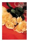 Solve each of the following application problems. Round rates to the nearest tenth of a percent and dollar amounts to the nearest cent. LONG-STEMMED ROSES Farmers Flowers purchased 12 gross of long-stemmed roses at a cost of $1890. If 25% of the roses cannot be sold and a markup of 100% on cost is needed, find the regular selling price per dozen roses.