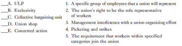 Match the following terms with their definitions:
