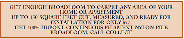    When customers called the number provided, New Rapids Carpet Center, Inc. sent salespeople to visit them at home to sell them carpet that was not as advertised-it was not continuous filament nylon pile broadloom, and the price was not $77. Has New Rapids violated a consumer law