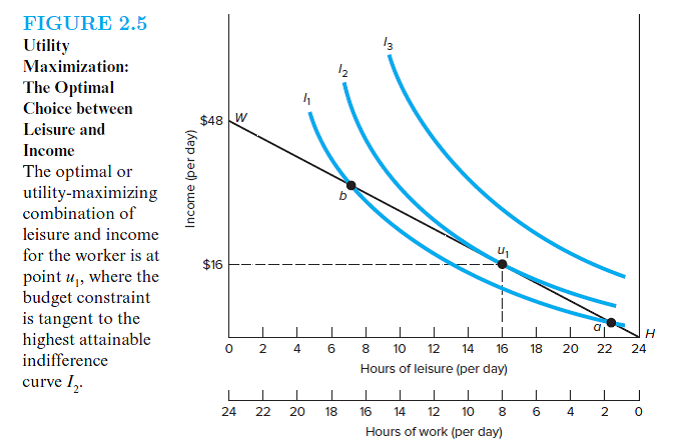 Employ a diagram similar to Figure 2.5 to show an individual's leisure-income choices before and after a wage rate decrease. Isolate the income and substitution effects, indicate whether each increases or decreases hours of work, and use the two effects to explain the overall impact of the wage decline on hours of work. Is your worker on the forward-rising or backward-bending portion of the labor supply curve