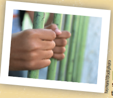 Does Tough Love Work? The planning director for the State Department of Juvenile Justice has asked for your advice on how to reduce the threat of chronic offenders. Some of the more conservative members of her staff seem to believe that these kids need a strict dose of rough justice if they are to be turned away from a life of crime. They believe juvenile delinquents who are punished harshly are less likely to recidivate than youths who receive lesser punishments, such as community corrections or probation. In addition, they believe that hardcore, violent offenders deserve to be punished; excessive concern for offenders and not their acts ignores the rights of victims and society in general. The planning director is unsure whether such an approach is ethical. Is it ethical to use tough punishment with kids because it may produce deviant identities that lock kids into a criminal way of life? She is concerned that a strategy stressing punishment is not only unethical, but it will have relatively little impact on chronic offenders and, if anything, may cause escalation in serious criminal behaviors. The director has asked you for your professional advice on this ethical dilemma. Write a two-page memorandum: On the one hand, the system must be sensitive to the adverse effects of stigma and labeling. On the other hand, the need for control and deterrence must not be ignored. Is it possible to reconcile these two opposing views?    