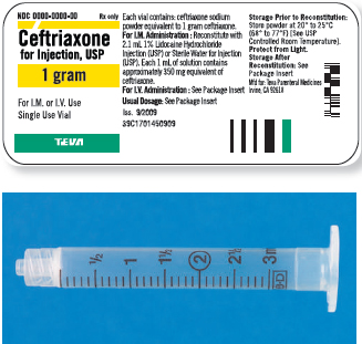 Read the parenteral drug labels provided to measure the following dosages. Then, indicate on the syringe provided exactly how much solution you will draw up to obtain these dosages. Have your answers checked by your instructor to be sure you have measured the dosages correctly. ceftriaxone 0.7 g I.M. _______