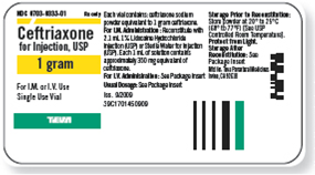 Refer to the ceftriaxone label in Figure to answer the following questions about reconstitution. What will be the dosage strength of 1 mL of reconstituted I.M. solution?________ Figure    