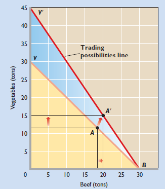 <strong>FIGURE 38.2 Trading possibilities lines and the gains from trade. As a result of specialization and trade, both the United States and Mexico can have higher levels of output than the levels attainable on their domestic production possibilities curves. (a) The United States can move from point A on its domestic production possibilities curve to, say, A ? on its trading possibilities line. (b) Mexico can move from Z to Z ?. (a) United States   (b) Mexico   After specialization and international trade:</strong> A) the United States can obtain units of vegetables at less cost than it could before trade. B) Mexico can obtain more than 20 tons of vegetables, if it so chooses. C) the United States no has a comparative advantage in producing beef. D) Mexico can benefit by prohibiting vegetables imports from the United States. <div style=padding-top: 35px> 